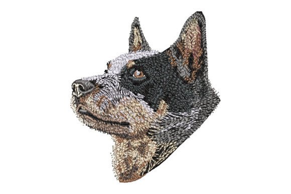 Australian Cattle Dog Embroidery Review